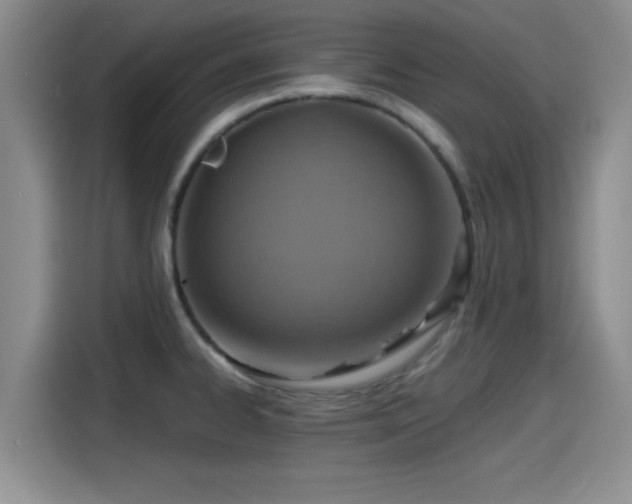 X0000115451334200911121146