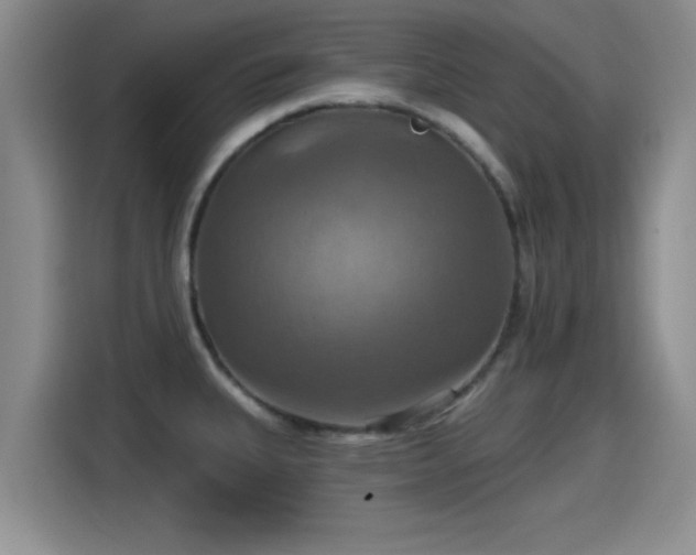 X0000115451335200911121146
