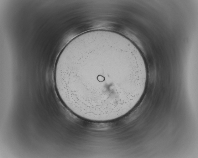 X0000115451338200911121146