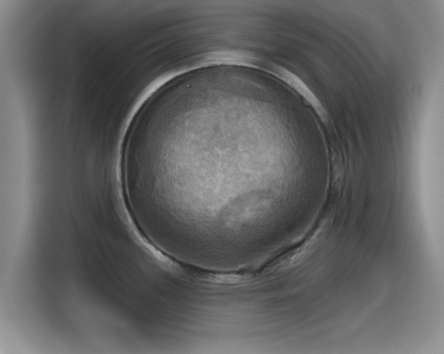 X0000115451339200911121146