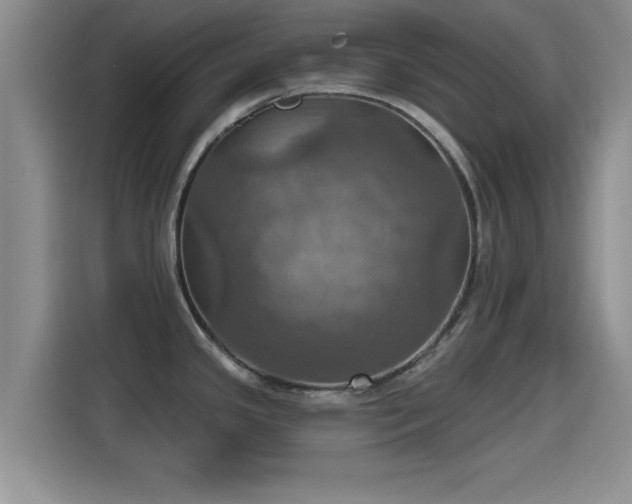 X0000115451341200911121146