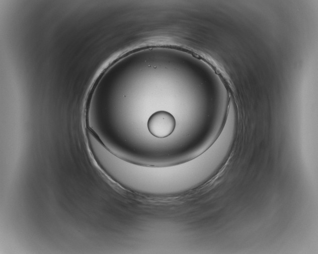 X0000115451342200911121146