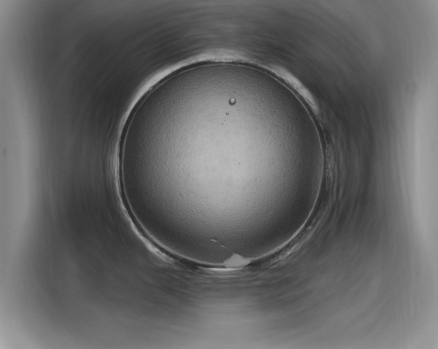 X0000115451343200911121146
