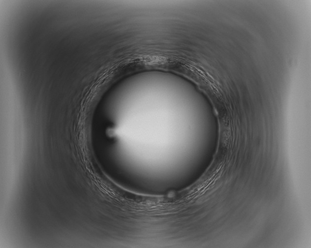 X0000115451345200911121145