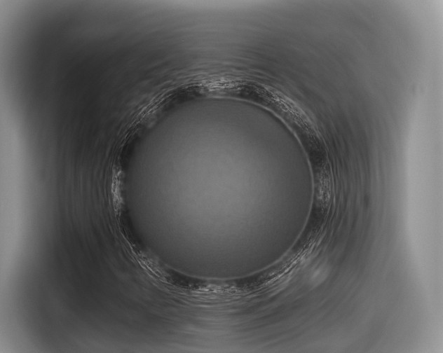 X0000115451346200911121145