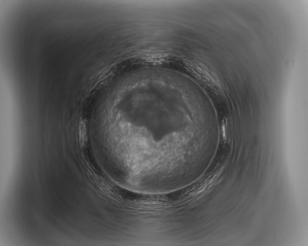 X0000115451347200911121145