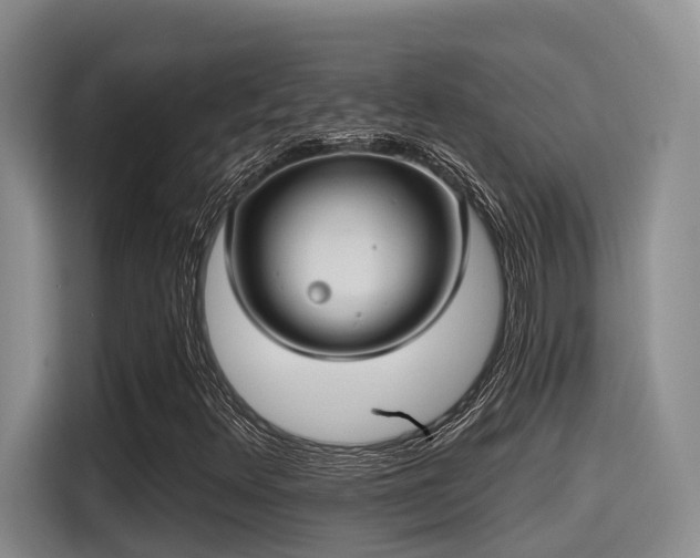 X0000115451348200911121145