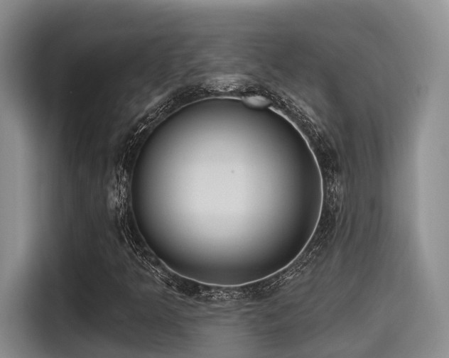 X0000115451349200911121145
