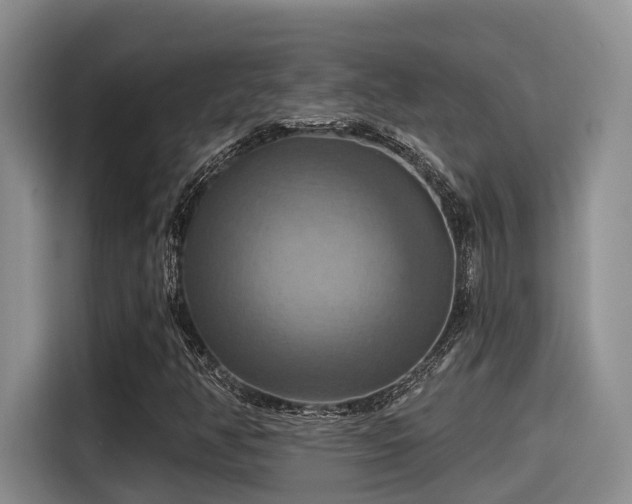 X0000115451350200911121145