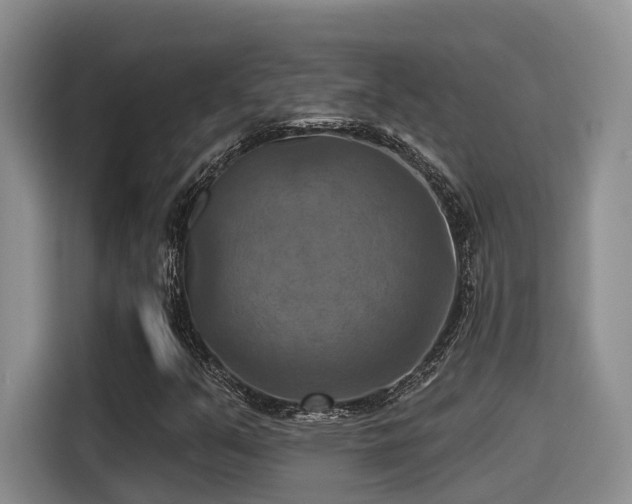 X0000115451351200911121145