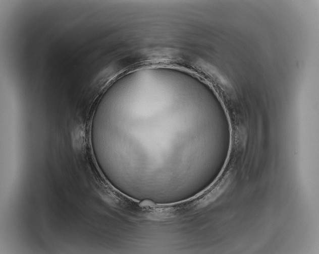 X0000115451353200911121145