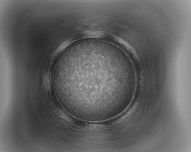 X0000115451354200911121145