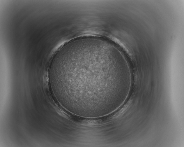 X0000115451355200911121145