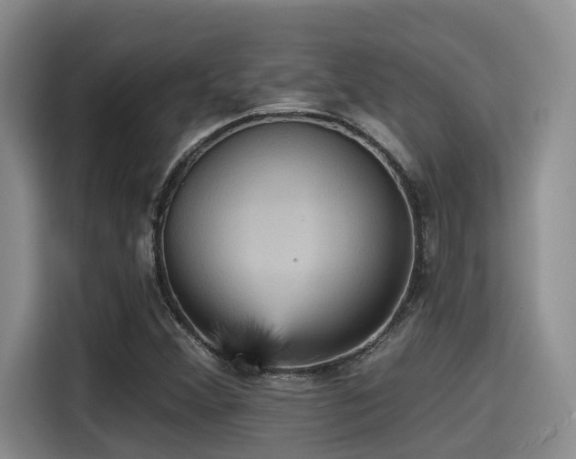 X0000115451356200911121145