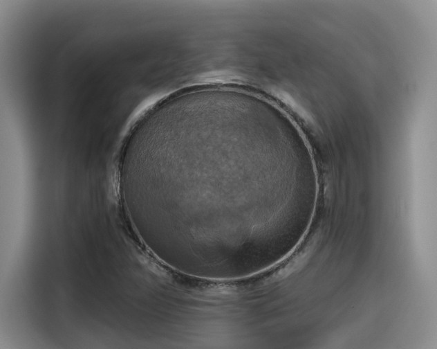 X0000115451358200911121145