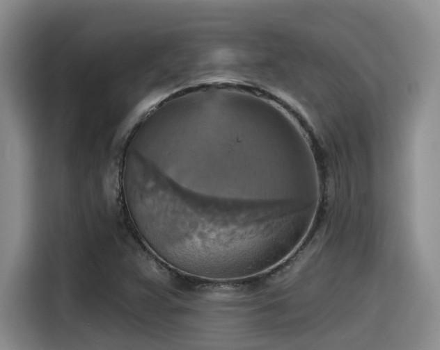 X0000115451359200911121145