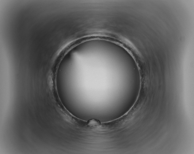 X0000115451360200911121145