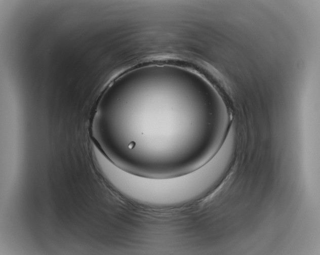 X0000115451361200911121145