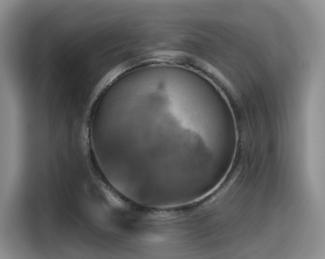 X0000115451362200911121145