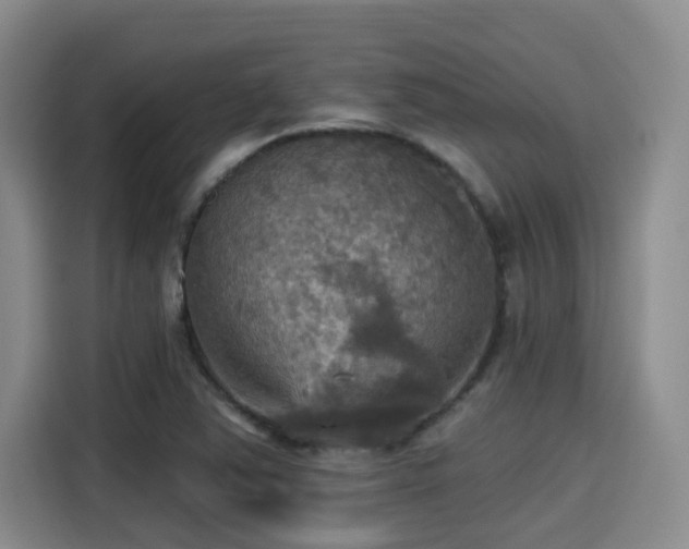 X0000115451363200911121145
