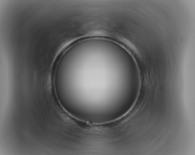 X0000115451364200911121145