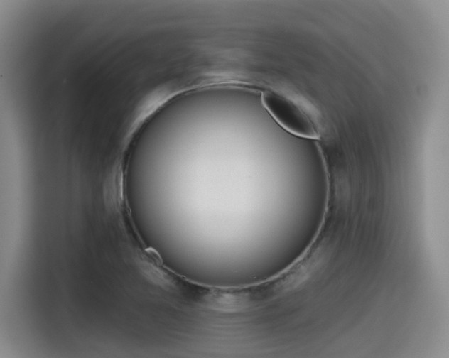 X0000115451365200911121145