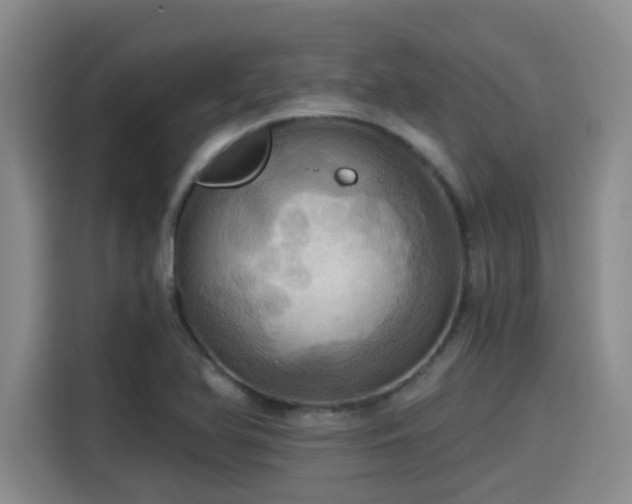 X0000115451366200911121145