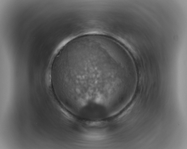 X0000115451367200911121145