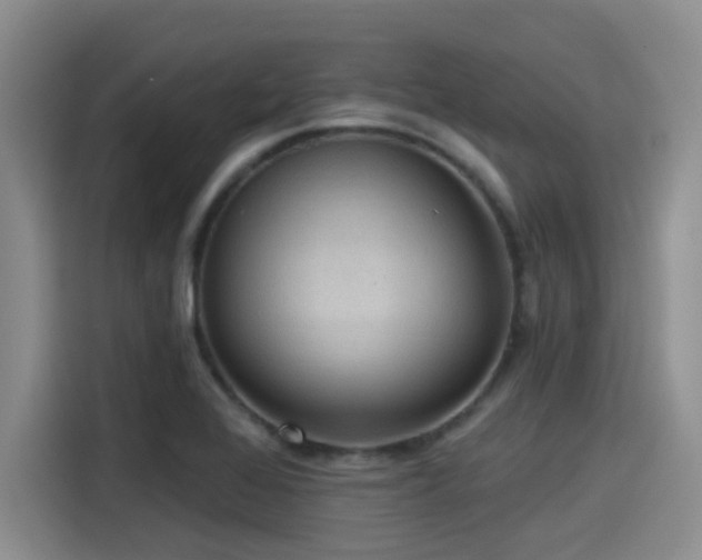 X0000115451368200911121145