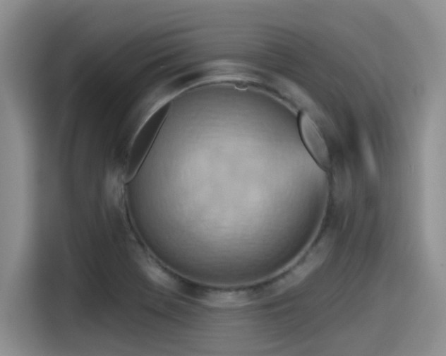 X0000115451369200911121145