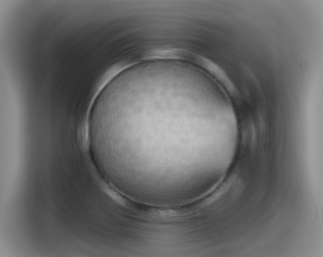 X0000115451370200911121145
