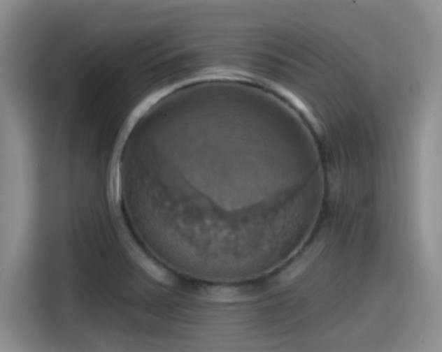 X0000115451371200911121145