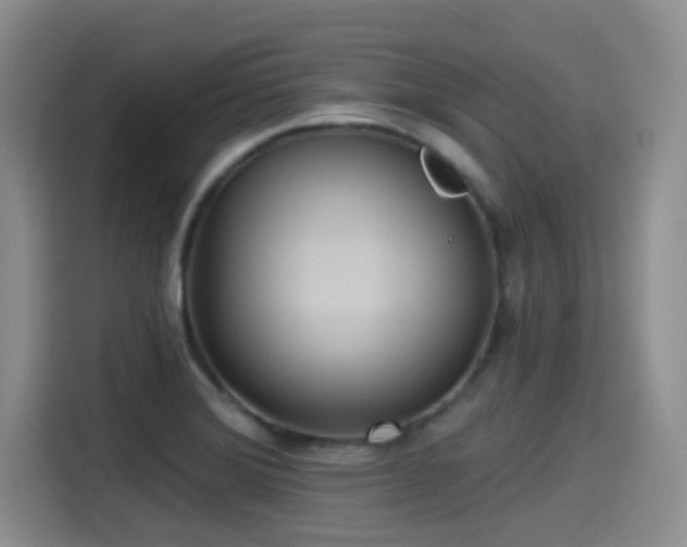 X0000115451372200911121145