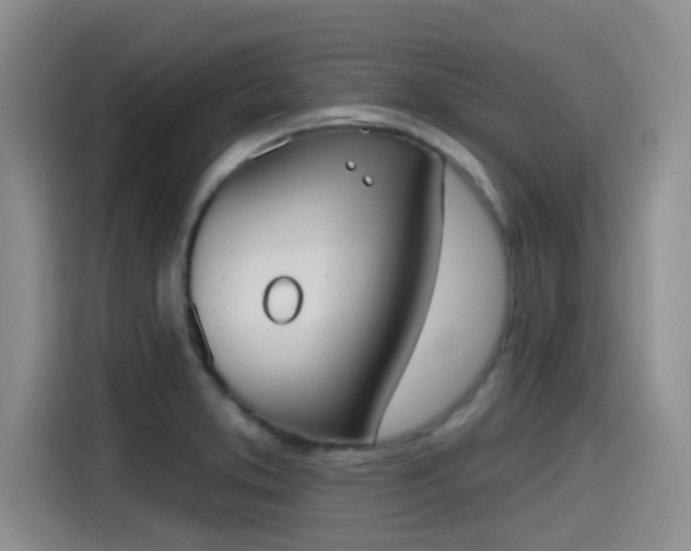 X0000115451373200911121145