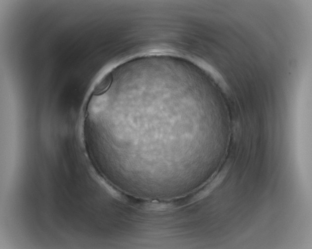 X0000115451374200911121145