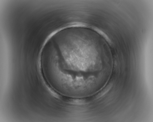 X0000115451375200911121145