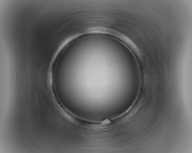 X0000115451376200911121145
