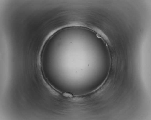 X0000115451380200911121145