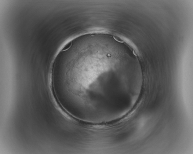 X0000115451383200911121145