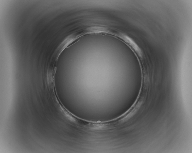 X0000115451385200911121145