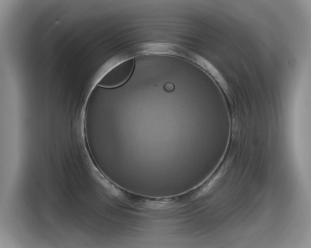 X0000115451386200911121145