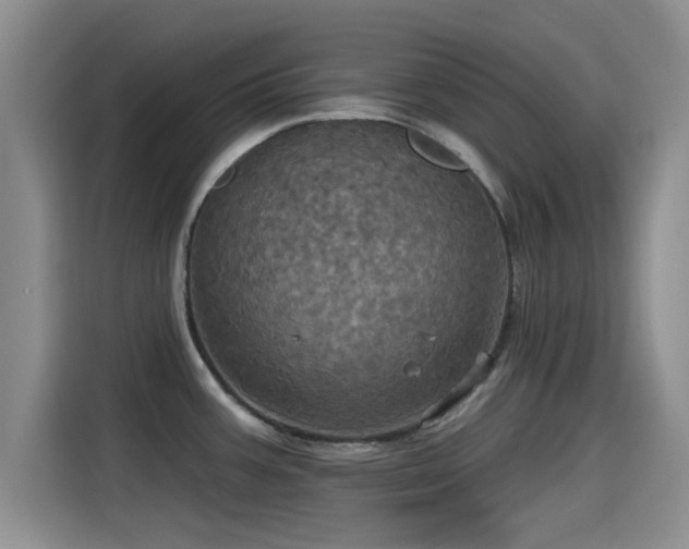 X0000115451387200911121145