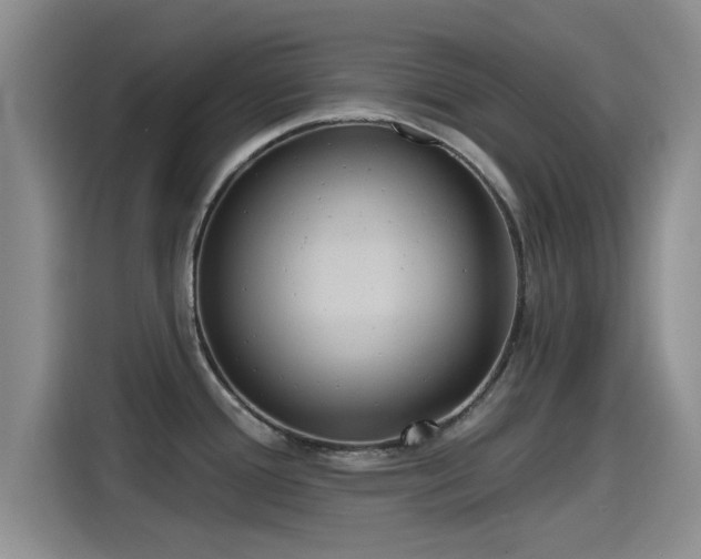 X0000115451388200911121145