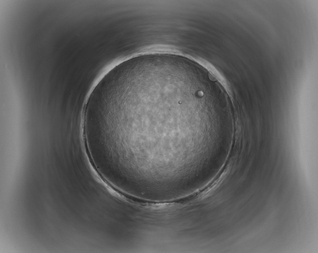 X0000115451390200911121145