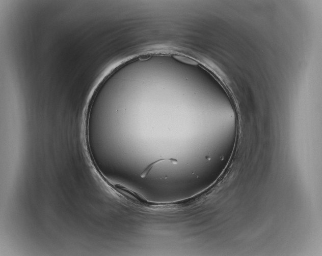 X0000115451392200911121145