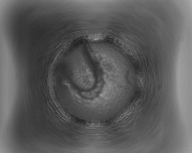 X0000115451393200911121144