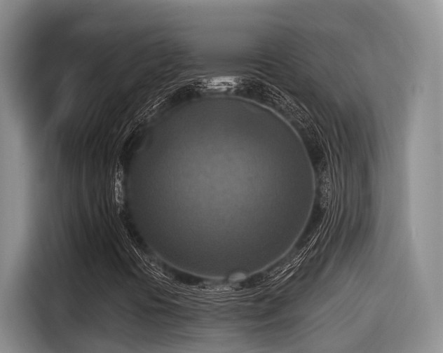 X0000115451394200911121144