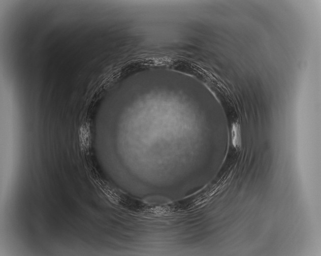 X0000115451395200911121144