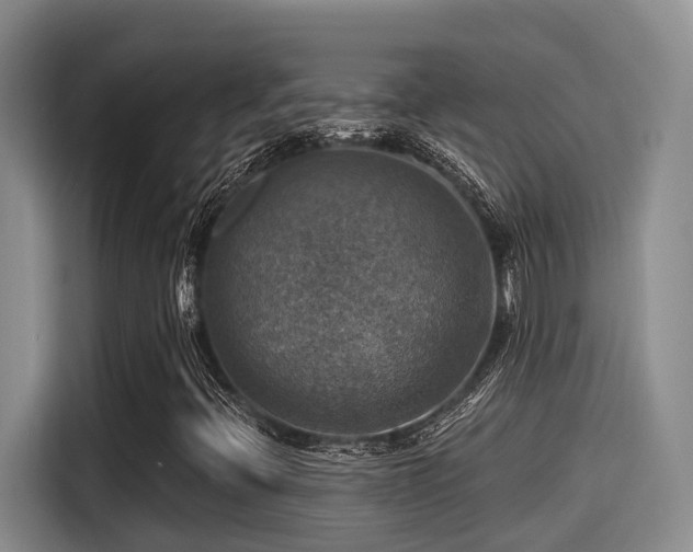 X0000115451396200911121144