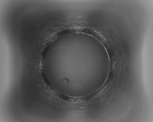X0000115451397200911121144